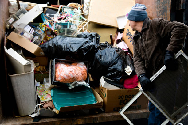 Best Attic Cleanout  in Pine, AZ